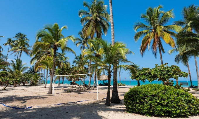 Palomino Hotel | Experience Aite Hotel: Poolside Bliss with Ocean Views