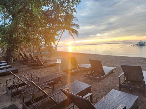 Dauin Resort | AivyMaes Divers Resort: Oceanfront Retreat with Breakfast