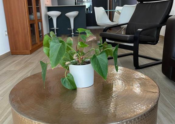Norte Apartment | Exceptional Aixa Granada - Child Friendly & Rated 9.9/10