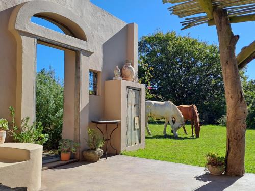 Heidelberg Villa | Experience Akasha Mountain Retreat: Pet-Friendly & Poolside