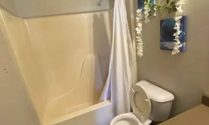 Newburgh House | Discover Akia Abode House: Ideal for Families and Kids