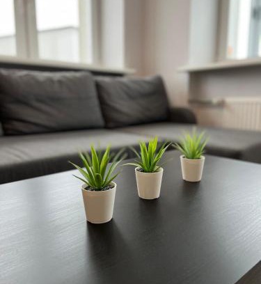 Siauliai County Apartment | Family-Friendly Akmene Center Apartment with High Guest Ratings