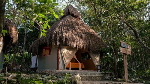 Akumal Hotel | Experience Akumal Natura Glamping with Oceanfront Views