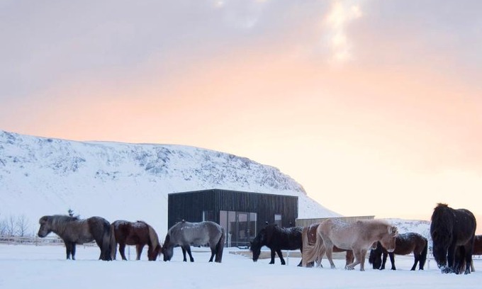 Sveitarfelagid Olfus House | Discover Akurgerði Guesthouse 6: Country Life Awaits