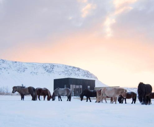 Sveitarfelagid Olfus House | Experience Akurgerði Guesthouse: Rated 9.8 with Hot Tub
