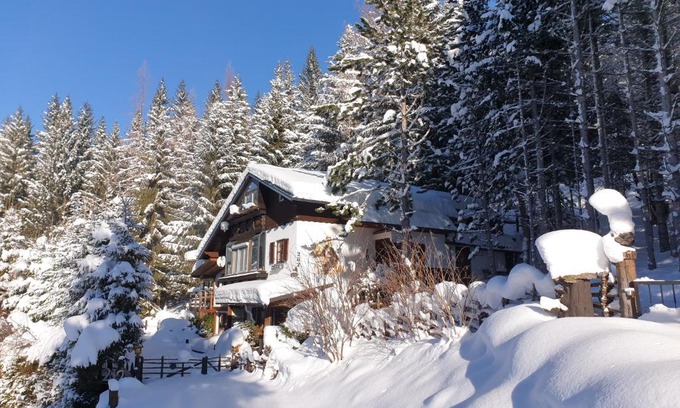 Bad Sankt Leonhard im Lavanttal Apartment | Pet-Friendly Alm-Ferienhaus Gaisegg with Hot Tub Access