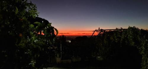 Marino House | Beachfront Retreat at Al Focolare di Enzo - Rated 9.1/10