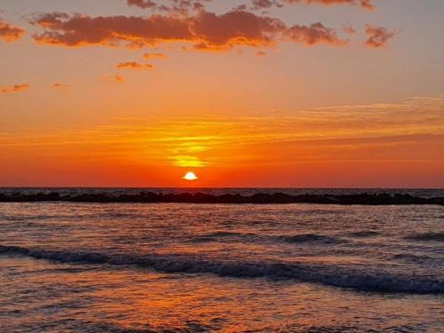Massignano Bed & Breakfast | Relax at B&B Alba sul Mare: Oceanfront Bliss Awaits