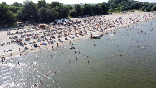 Calarasi Resort | Albatros: Pet-Friendly Hotel with Oceanfront Views