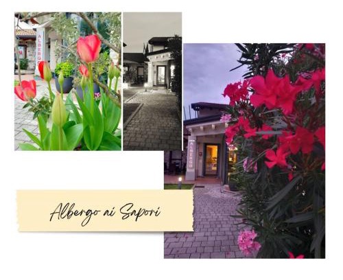 San Daniele del Friuli Hotel | Discover Albergo ai Sapori: Pet-Friendly Hotel Awaits