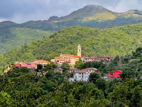 Ossegna Hotel | Pet-Friendly Retreat at Albergo Belvedere - Rated 8.1/10
