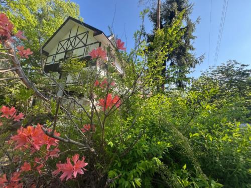 Minamiaizu Hotel | Experience Comfort at ALBERGO DEL PESCATORE with Breakfast