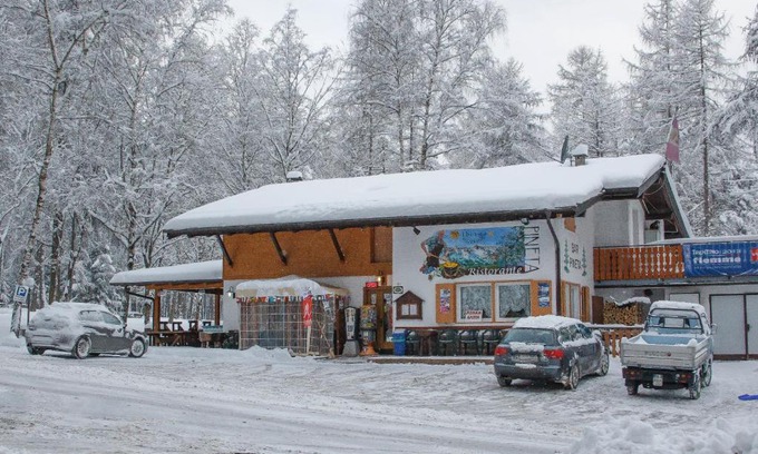 Castello-Molina di Fiemme Hotel | Discover Albergo Pineta: Pet-Friendly Stay with Breakfast