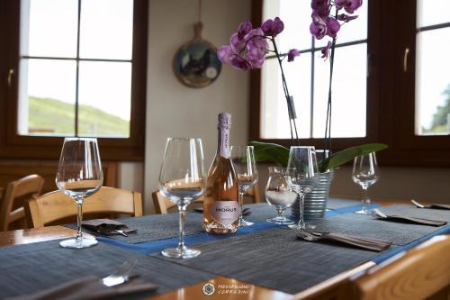 Brentonico Hotel | Discover Albergo Rifugio Graziani: Pet-Friendly Retreat