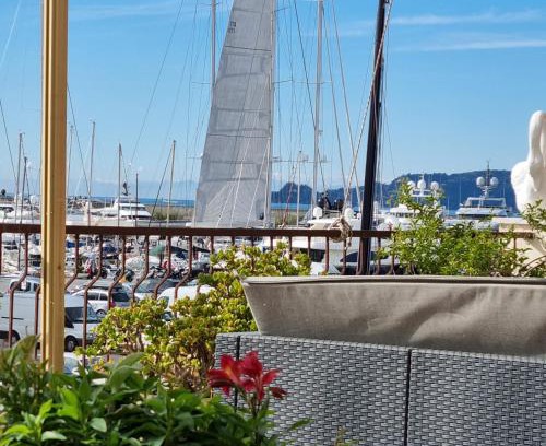 Rezza Hotel | Albergo Stella Di Mare: Oceanfront Stay with Pet-Friendly Perks
