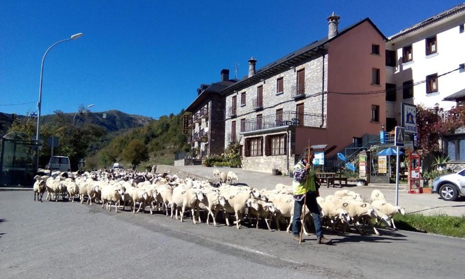 Linas de Broto Hostel | Guest Rated: Albergue El Último Bucardo with Breakfast & Dining