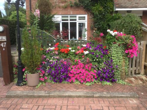 New Forest District Bed & Breakfast | Discover Albertine: Guest Rated 9.5/10 for Comfort