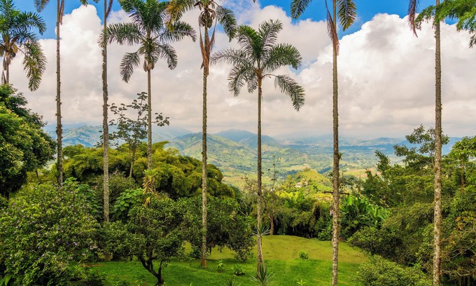 Manizales Villa | Pet-Friendly Retreat at Aldea Sabatinga with Spa & Breakfast