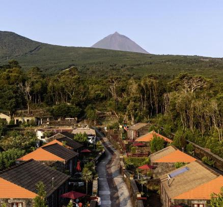 Sao Roque do Pico Resort | Relax at Aldeia das Adegas with Oceanfront Views