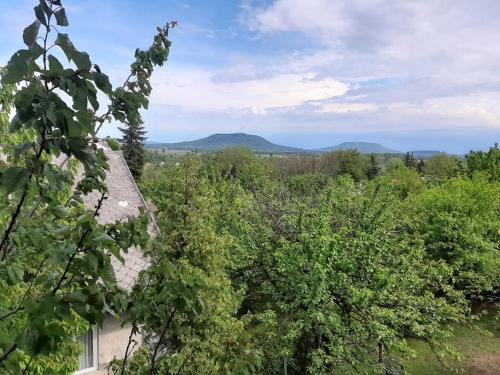 Lesencetomaj House | Discover Aleksa Apartman: Pet-Friendly Family Escape