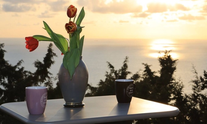Corfu Apartment | Explore Alibertini Studios: Pet-Friendly & Family-Oriented