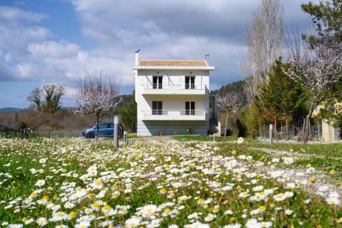 Parelia Apartment | Pet-Friendly Retreat: Aliki's Suite with Scenic Views
