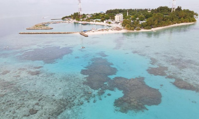Felidhoo Hotel | Experience Alimas Holiday Retreat: Oceanfront Bliss Awaits