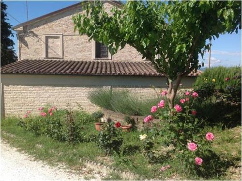 Bettolelle House | Cozy All'ombra degli Ulivi B&B with Family-Friendly Dining