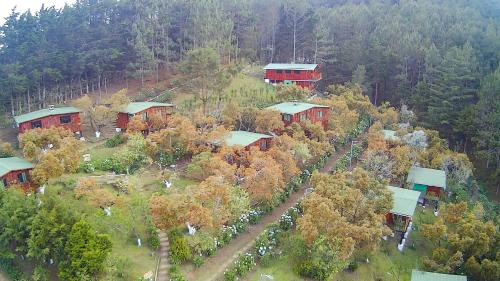 La Palma Cabin | Experience Relaxation at Alla Arriba - Pet Friendly & Pool