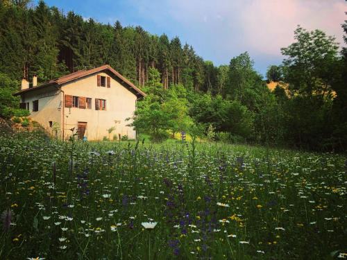 Soranzen Bed & Breakfast | Pet-Friendly Alla Casetta B&B with Oceanfront Spa