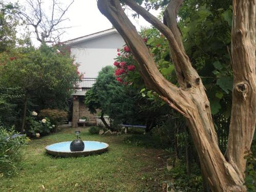 Rovigo Bed & Breakfast | Discover Alla Rotonda dai Santi: Family & Pet-Friendly Stay