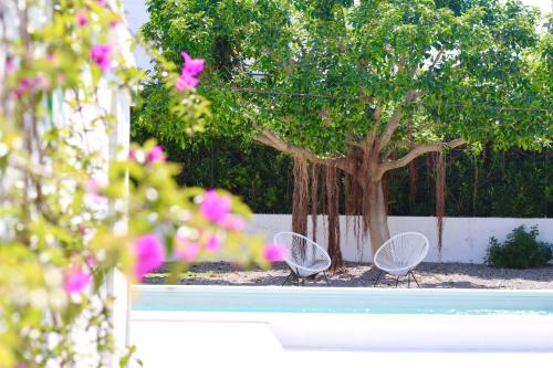 Fasano House | Experience Allure at AllaTorretta23 with Oceanfront Pool