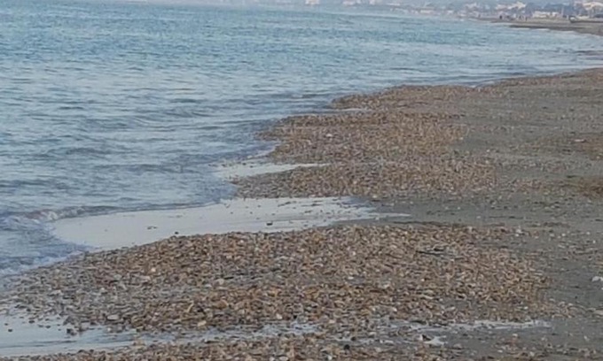 Alba Adriatica House | Oceanfront Getaway: Guest Rated 10/10 with Ocean Views