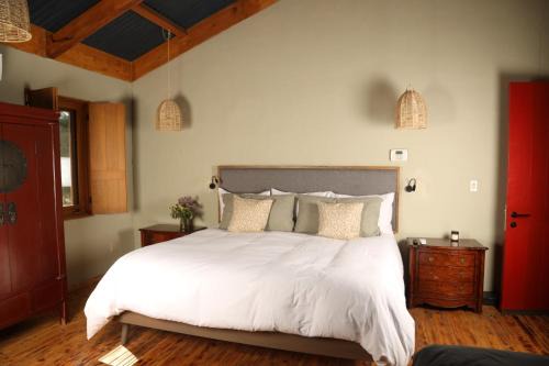 Valle de Guadalupe Ski Chalet | Beautiful Alma Liebre Viñedos: Poolside Oceanfront Retreat
