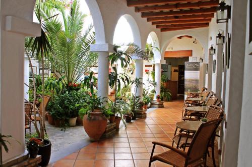 Conil de la Frontera City Center Hotel | Pet-Friendly Almadraba Conil with Ocean Views & Breakfast