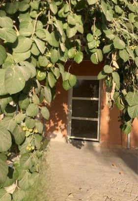 Dhahran Cabin | Almalfa