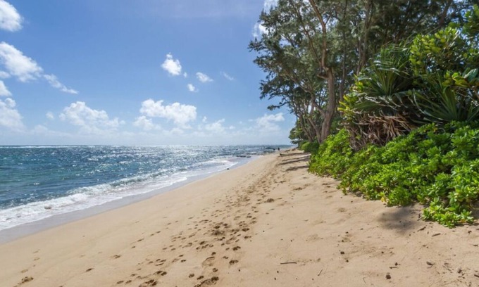 Hauula Apartment | Cozy Aloha Studio - Oceanfront Escape Near the Beach