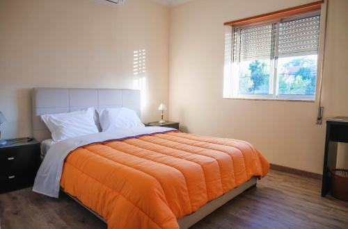 Braganca House | Family-Friendly Alojamento Local do Arado with Kitchen Access