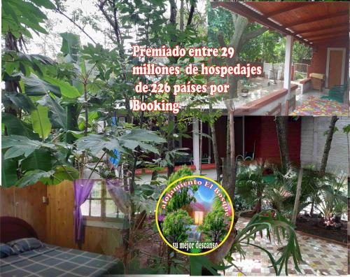 Encarnacion House | Discover Alojamiento El Bosque - Family-Friendly Escape