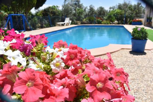 Pozo Alcon House | Delightful Alojamientos Rurales la Loma: 4-Star Oceanfront Retreat
