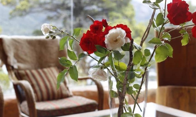 San Jose Apartment | Budget-Friendly Stay at Alojaminto Ester González for Families