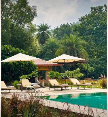 Ghanerao Cabin | Discover Aloof Jungle Lodge: Oceanfront Retreat Awaits