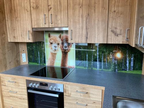 Bad Großpertholz Apartment | Alpakaglück: Guest Rated 10/10 with Breakfast & Family Comfort