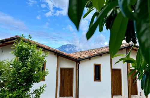 Berat House | Discover Alpeta Agrotourism & Winery in Roshnik, Berat