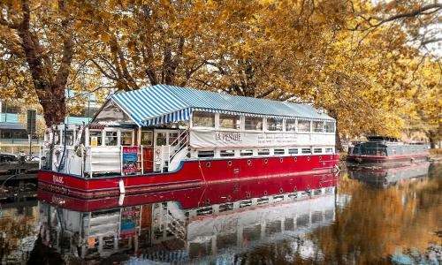 Ballsbridge Apartment | Discover Alpha Cottage: Your Ideal Getaway Awaits