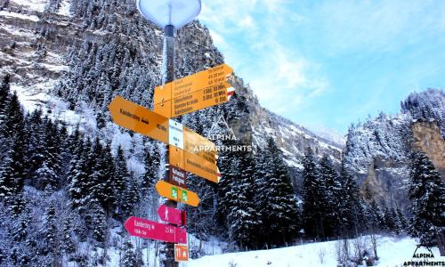 Blausee Apartment | Pet-Friendly Retreat at Alpina Apartment 2, Rated 8.4/10