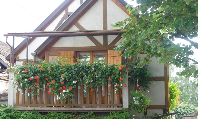 Kintzheim Cottage | Charming Alsace Timber-Framed House with Pool & Kitchen