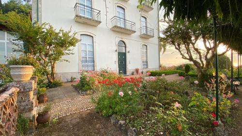 Penacova Bed & Breakfast | Cozy Altíssima Guesthouse Penacova with Oceanfront Pool