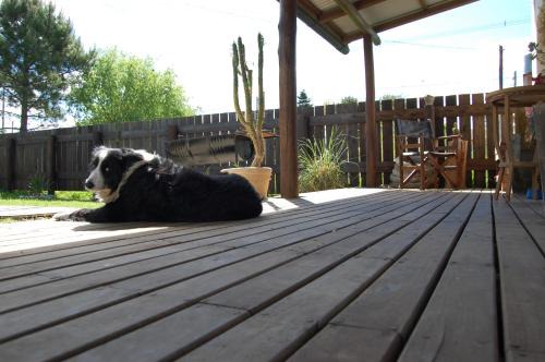 San Clemente Apartment | Family-Friendly Apartments in San Clemente del Tuyú, Argentina