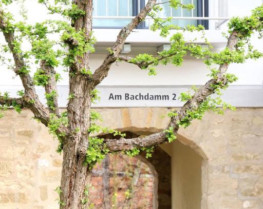 Sinsheim Apartment | Explore Alte Stadtmauer - Family-Friendly Apartment Awaits